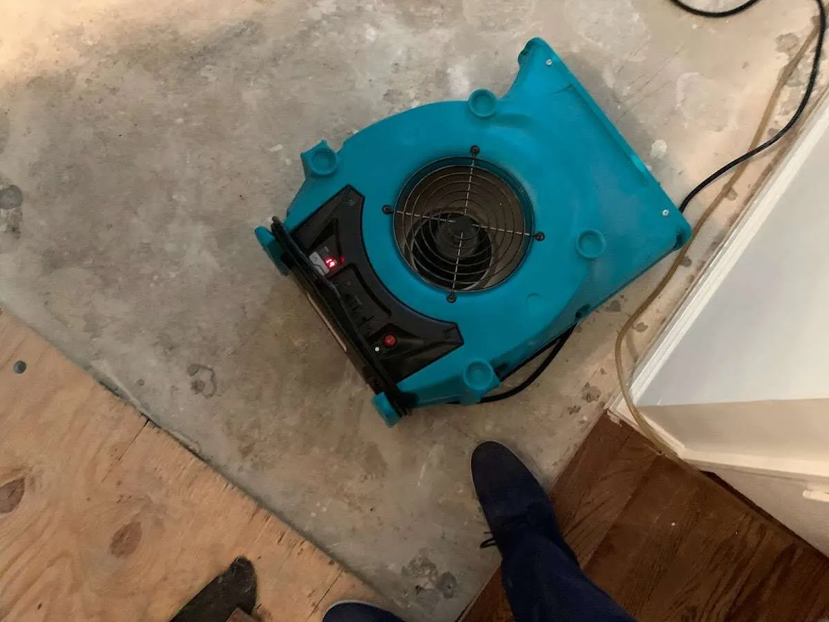 Air mover drying subfloor during Commercial Water Damage Restoration in Normandy Park